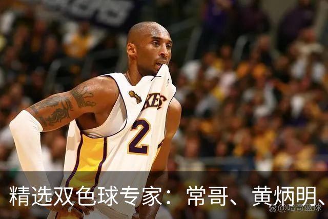 精选双色球专家：常哥、黄炳明、陈哲宇同中781万